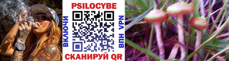 Псилоцибиновые грибы мухоморы Холмск