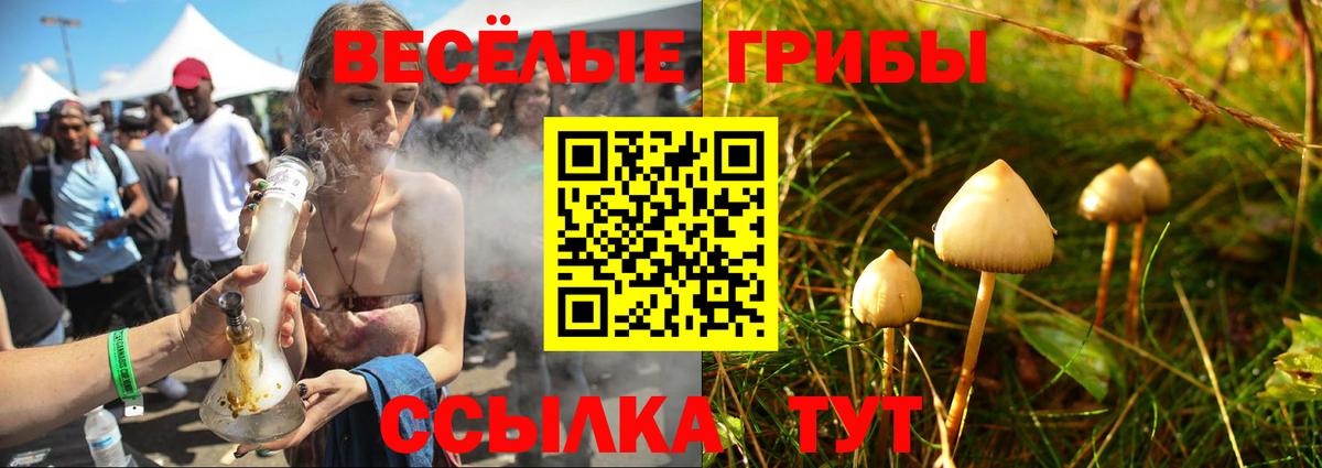 Галлюциногенные грибы Psilocybine cubensis  Вход с VPN  Галлюциногенные грибы GOLDEN TEACHER  Холмск 